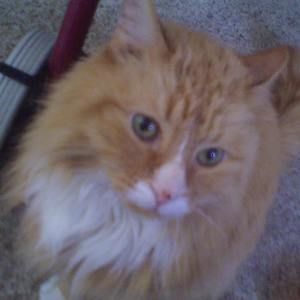 Meet your Posher, Deborah